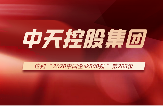 w66旗舰厅集团列2020中国企业500强第203位！